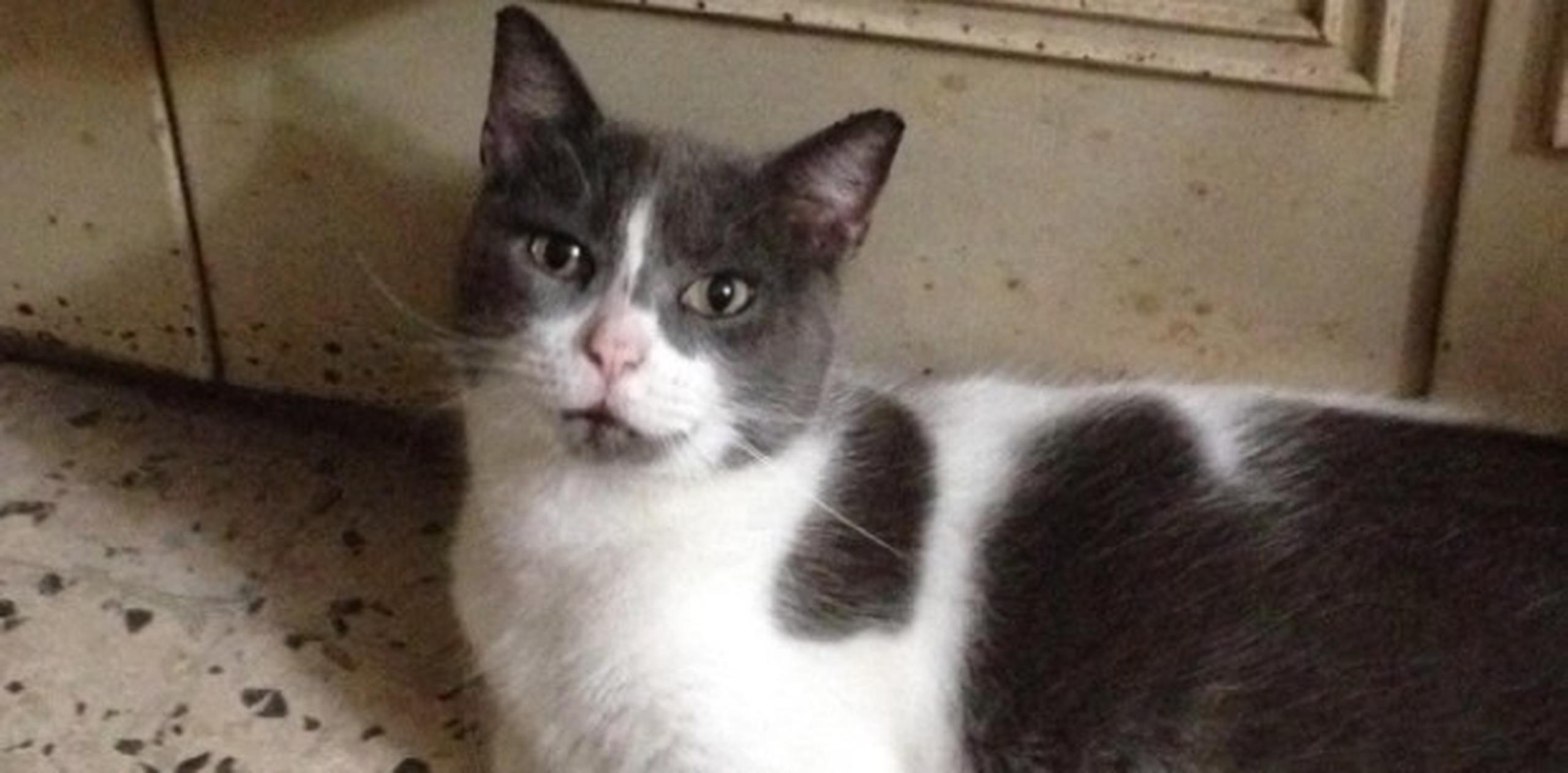 Let S Talk About Sex Baby Primera Hora