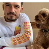 Orlando Bloom se tatúa el nombre de su perro fallecido