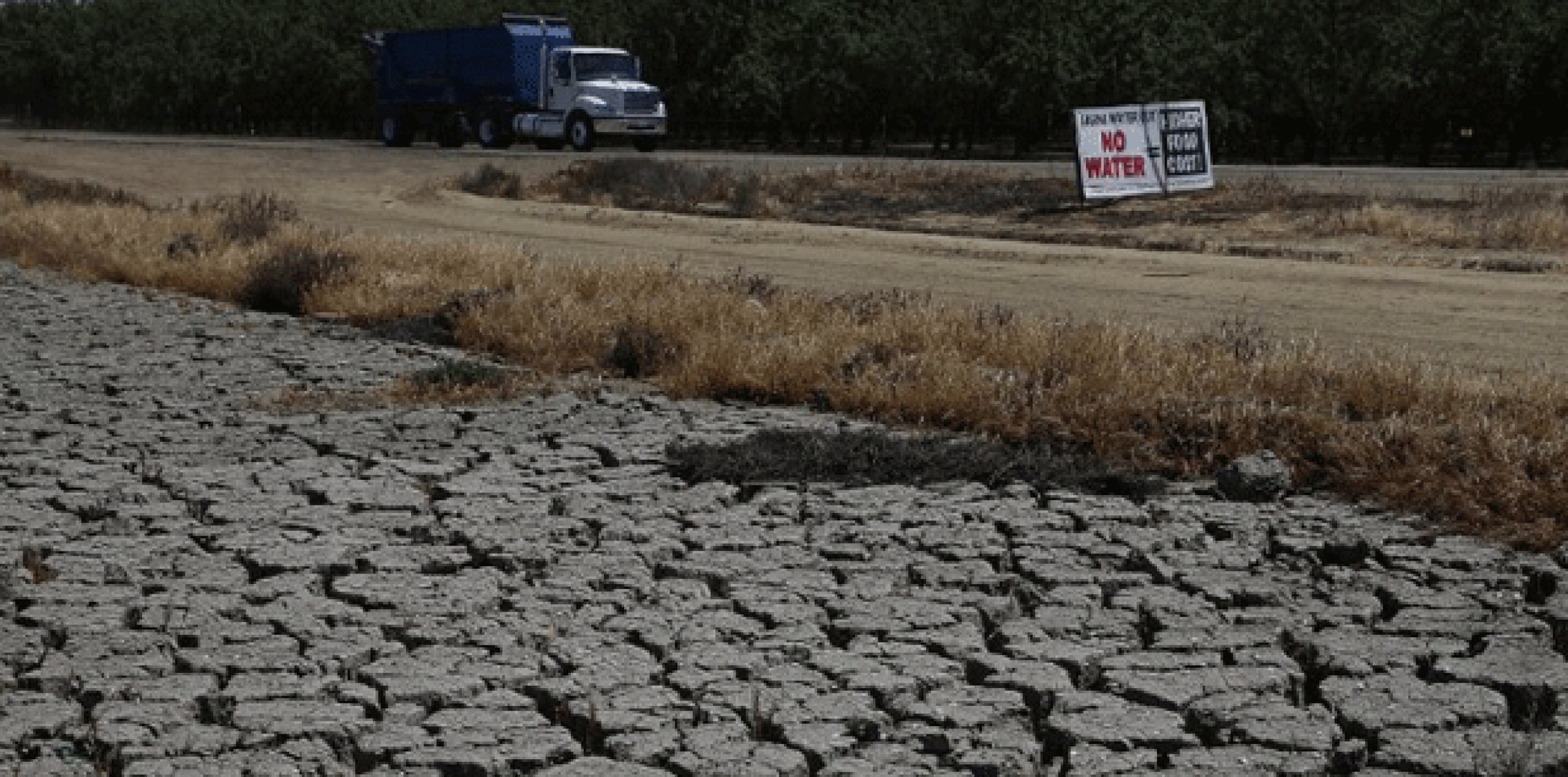 El reporte indicó que hasta el 21 abril el 66.6 % de California presentaba condiciones de sequía extrema o excepcional, los dos niveles más graves de la calificación. (AFP)