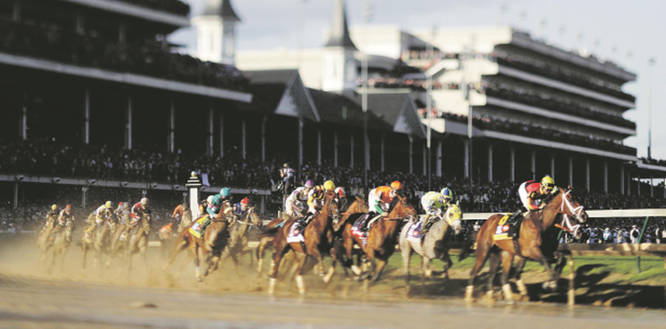 Para la edición 144 del Kentucky Derby de este sábado hay  20 ejemplares inscritos. (AP / Matt Slocum)