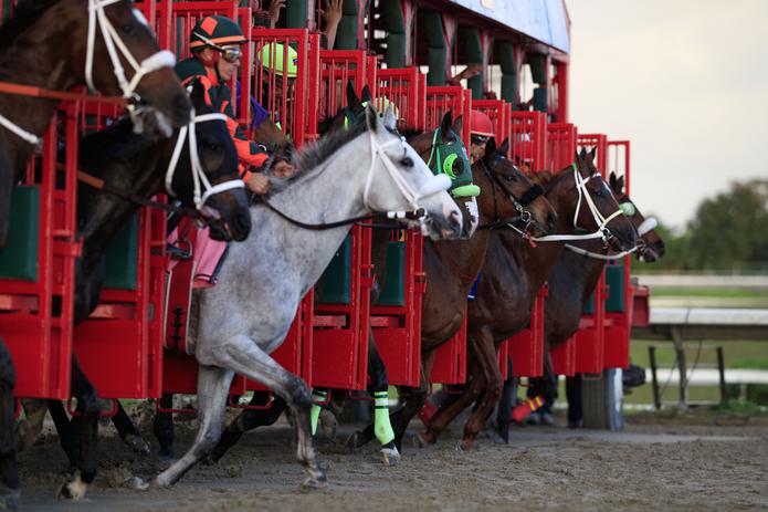 Dueños de caballos extranjeros que corrieron en el Clásico del Caribe recurrieron a las redes sociales para implicar que los actos protocolares afectaron el desempeño de sus animales.