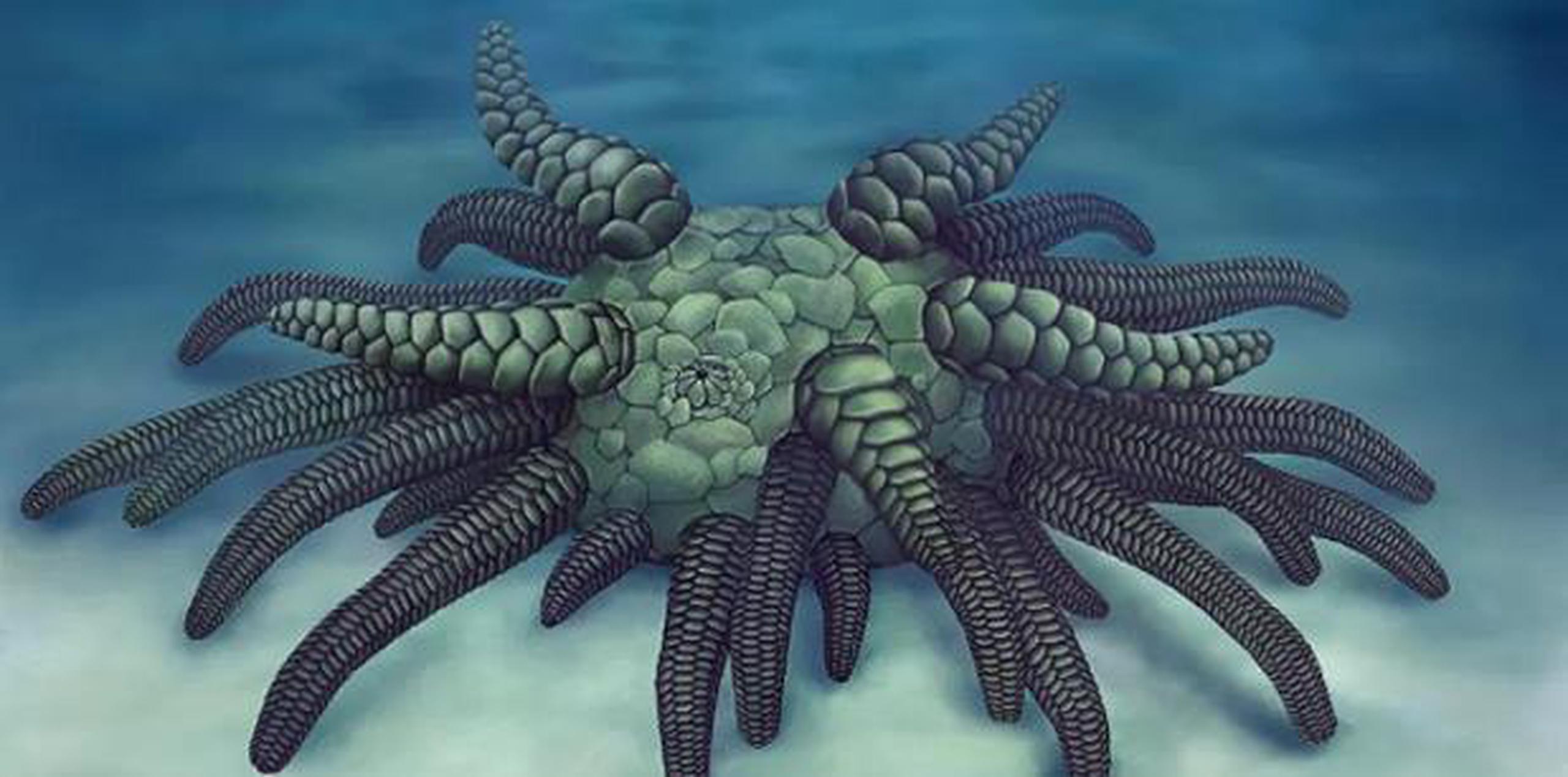 Descubren un nuevo “monstruo” marino que vivió hace 430 millones de ...