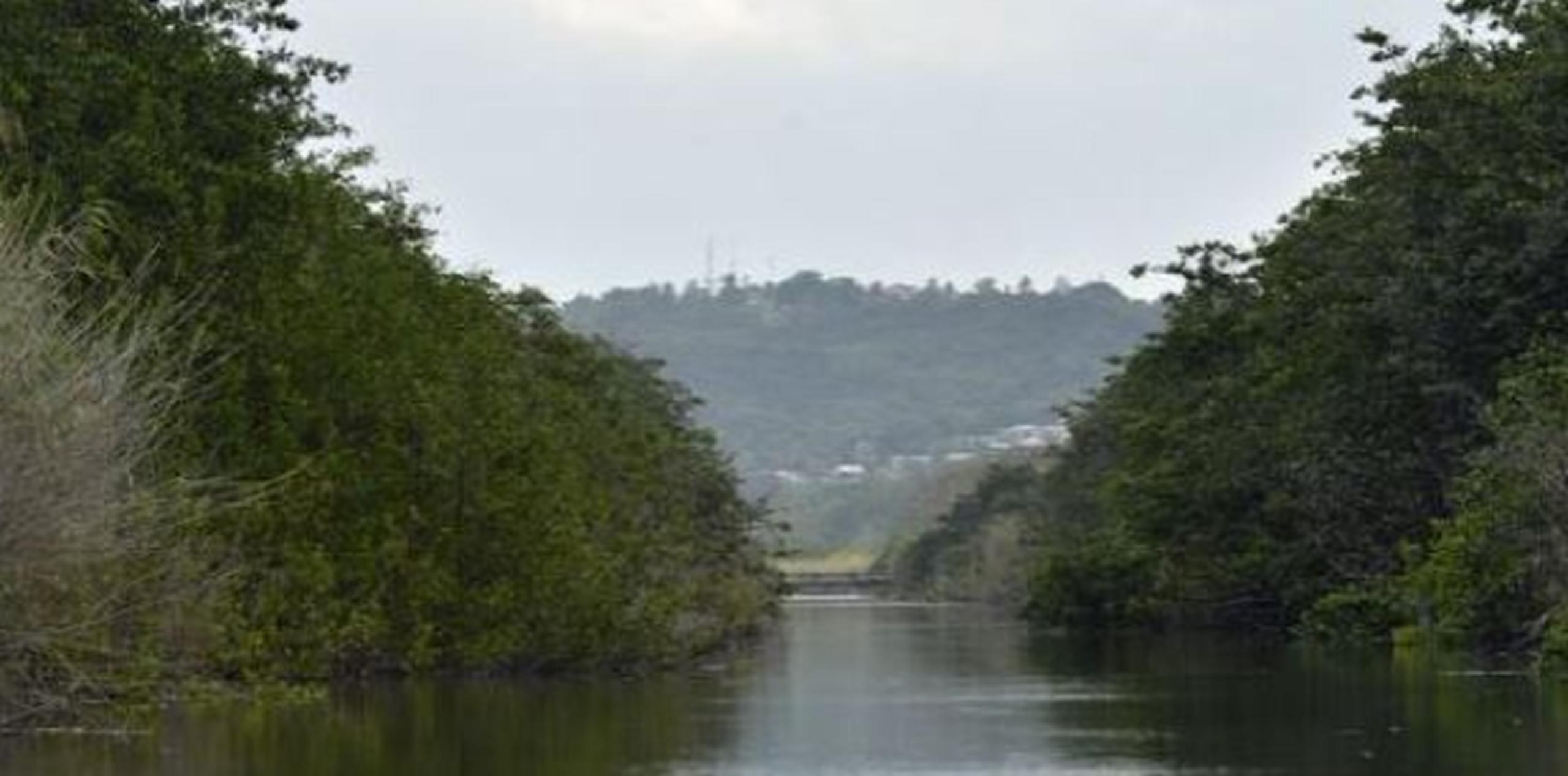 La decisión de Navas Auger surge como parte de la demanda presentada por la Sociedad Ornitológica Puertorriqueña Incorporado. (Archivo)