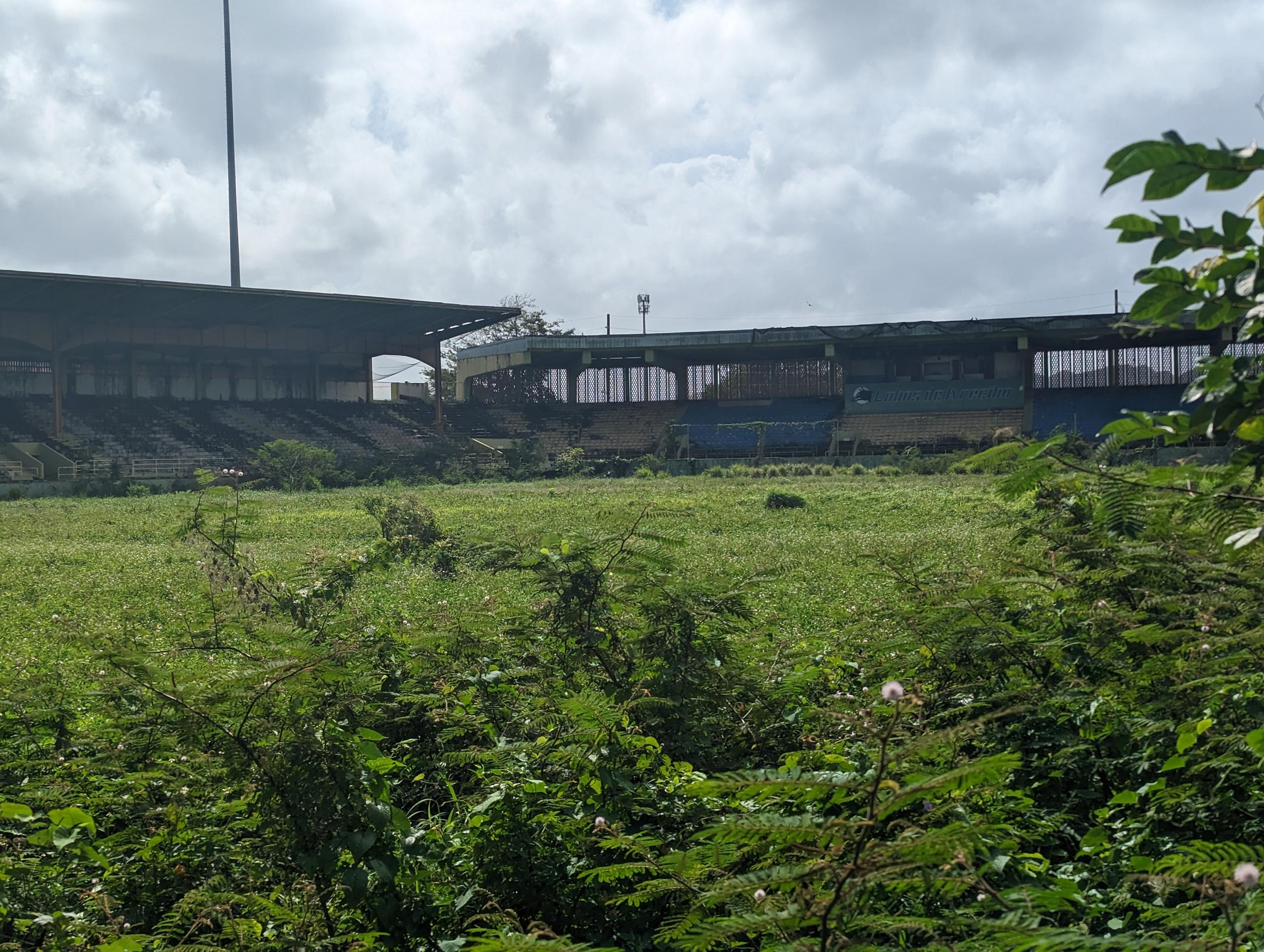 Weeds cover what used to be the field at Luis Rodríguez Olmo Stadium.