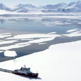 Investigarán si realmente se rompió el récord de calor en Antártida