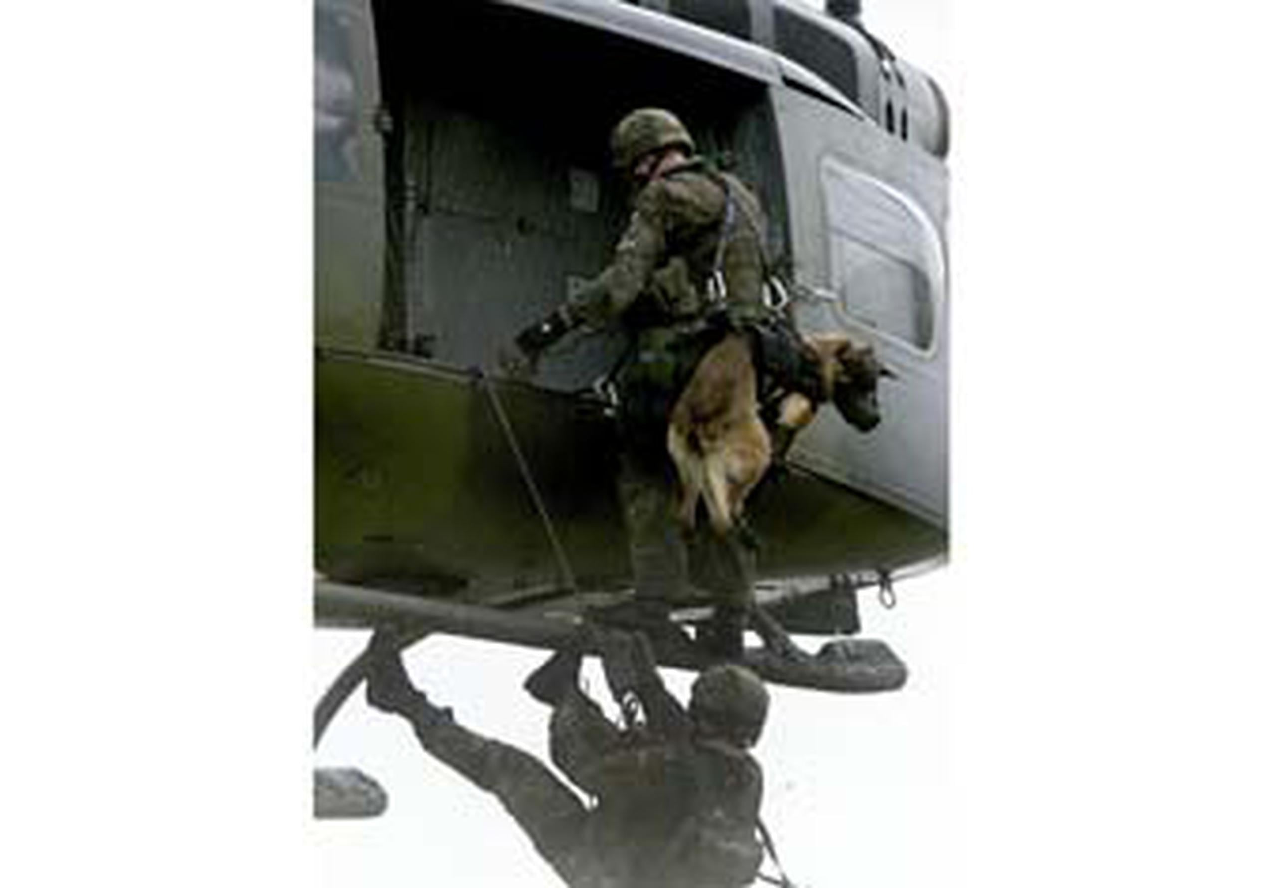 AFP Un perro elmán participa de un simulacro de operativo militar, parecido al de Osama bin Laden