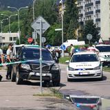 Exalumno mata a puñaladas al vicedirector de escuela en Eslovaquia
