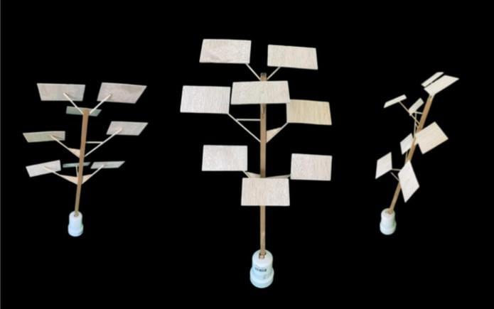 Maqueta de los árboles solares del arquitecto Ricardo Medina, que simulan a los que serán instalados en el Bosque Solar de Casa Pueblo, en Adjuntas.