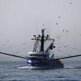 Barco pesquero español se hunde en aguas al este de Canadá