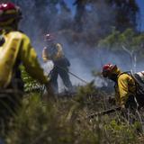 Bomberos extinguen incendio forestal en Carolina