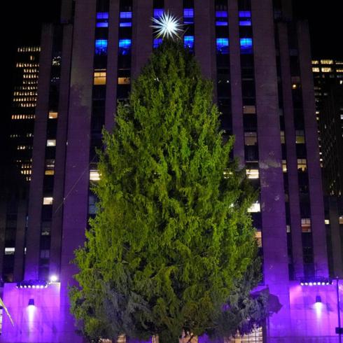 ¡De show! Así es el nuevo árbol de Navidad del Rockefeller Center en Nueva York