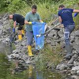 Mueren toneladas de peces en un río de Europa Central