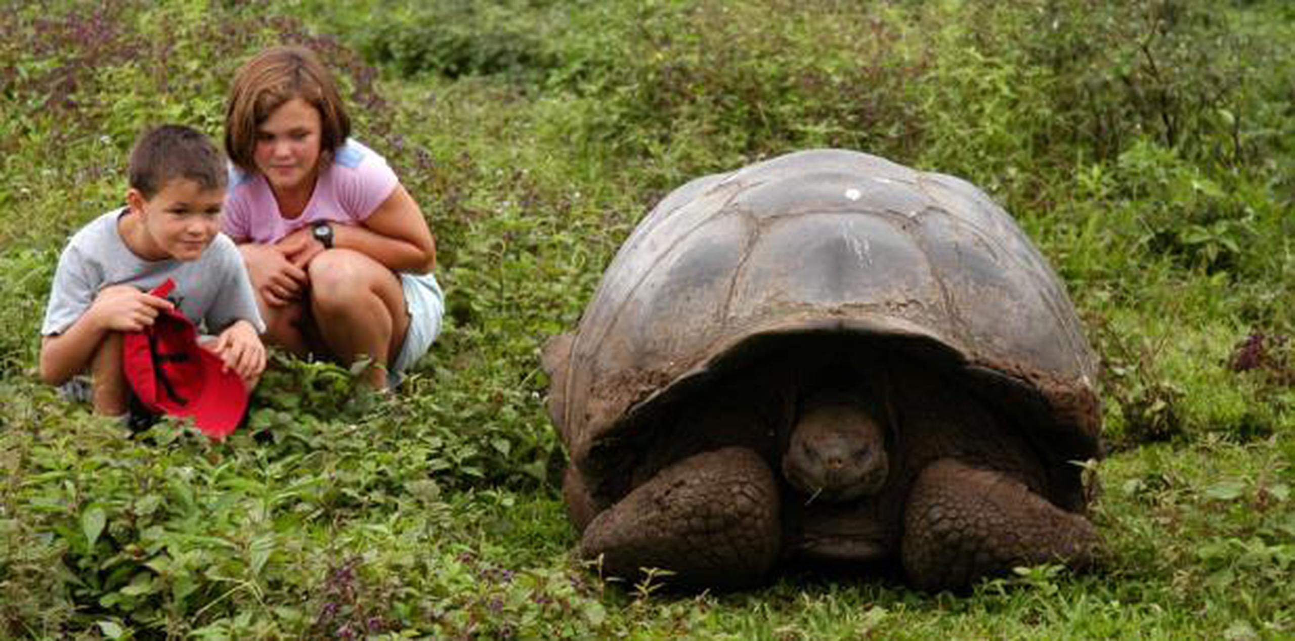 Las islas Galápagos fueron catalogadas en 1978 como Patrimonio Natural de la Humanidad por la Unesco. (Archivo)