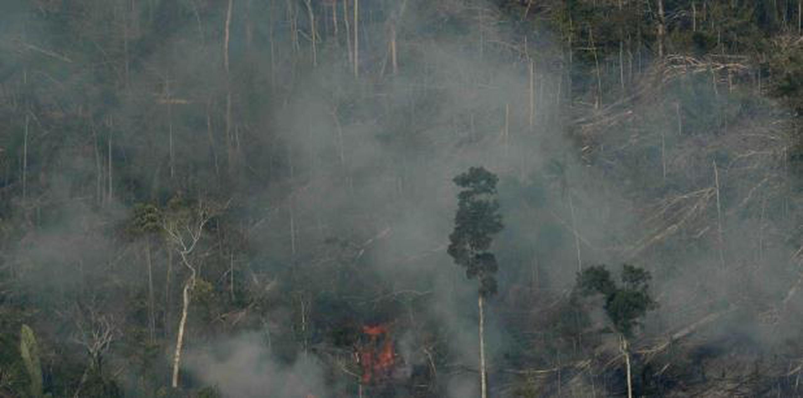 Los expertos federales brasileños reportaron una cifra récord de incendios forestales en el país sudamericano en lo que va del año. (AP)