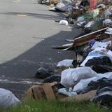 Preocupan las plagas por falta de recogido de basura