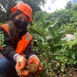 Estudiantes aprenden sobre el bosque y su manejo en El Yunque