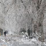 Tormenta invernal causa estragos en oeste de Estados Unidos