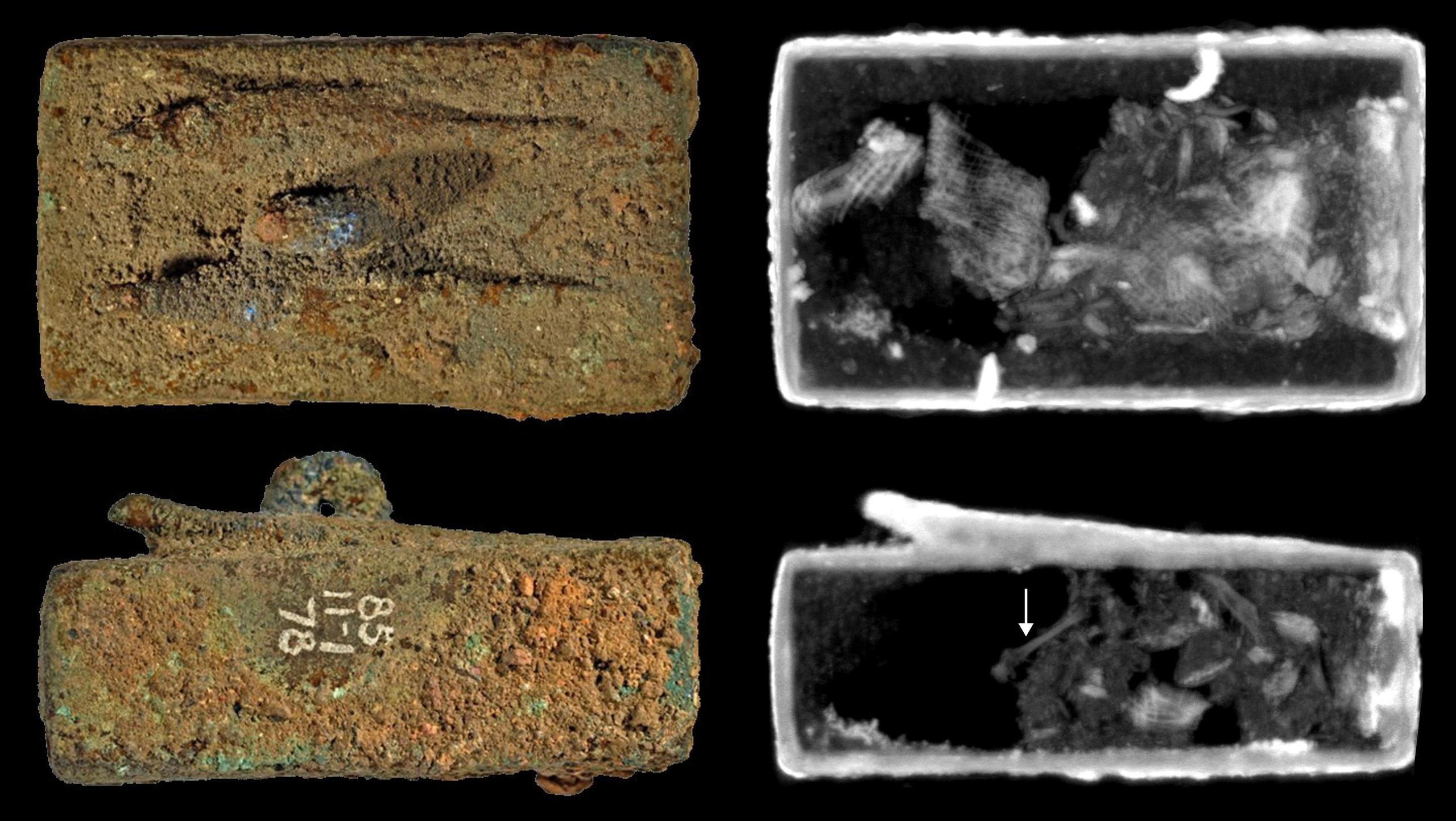 Ataúd de animal coronado por dos figuras de lagarto (vista superior y lateral). Las imágenes de neutrones muestran envoltorios textiles y un hueso  (flecha). (EFE/The Trustees of the British Museum y O'Flynn et al.)