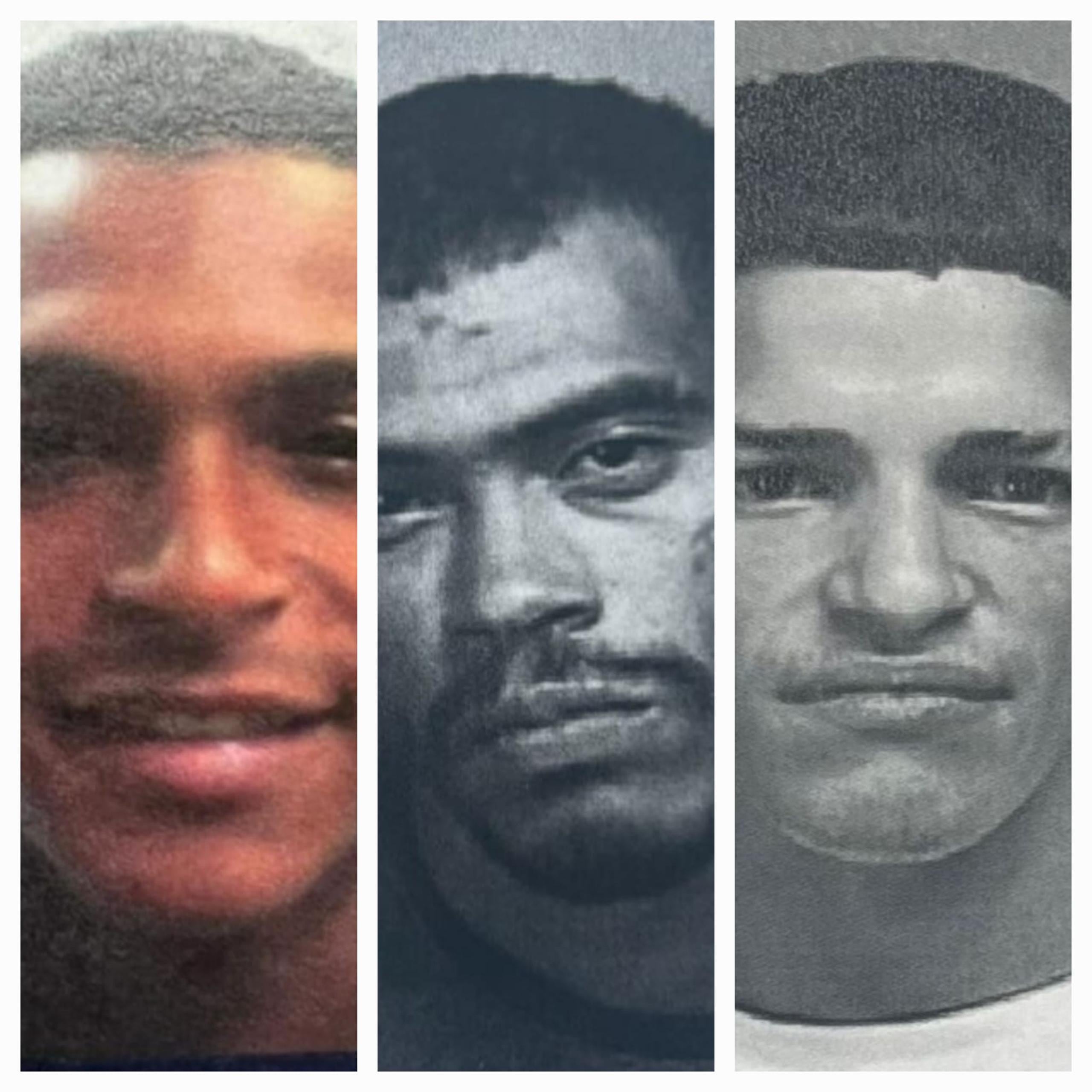 La División de Arrestos Especiales de Bayamón, capturaron a los fugitivos Josué Cantres Ríos, Javier Ginés Rosario y Luis J. Maldonado Rivera, durante varias intervenciones.