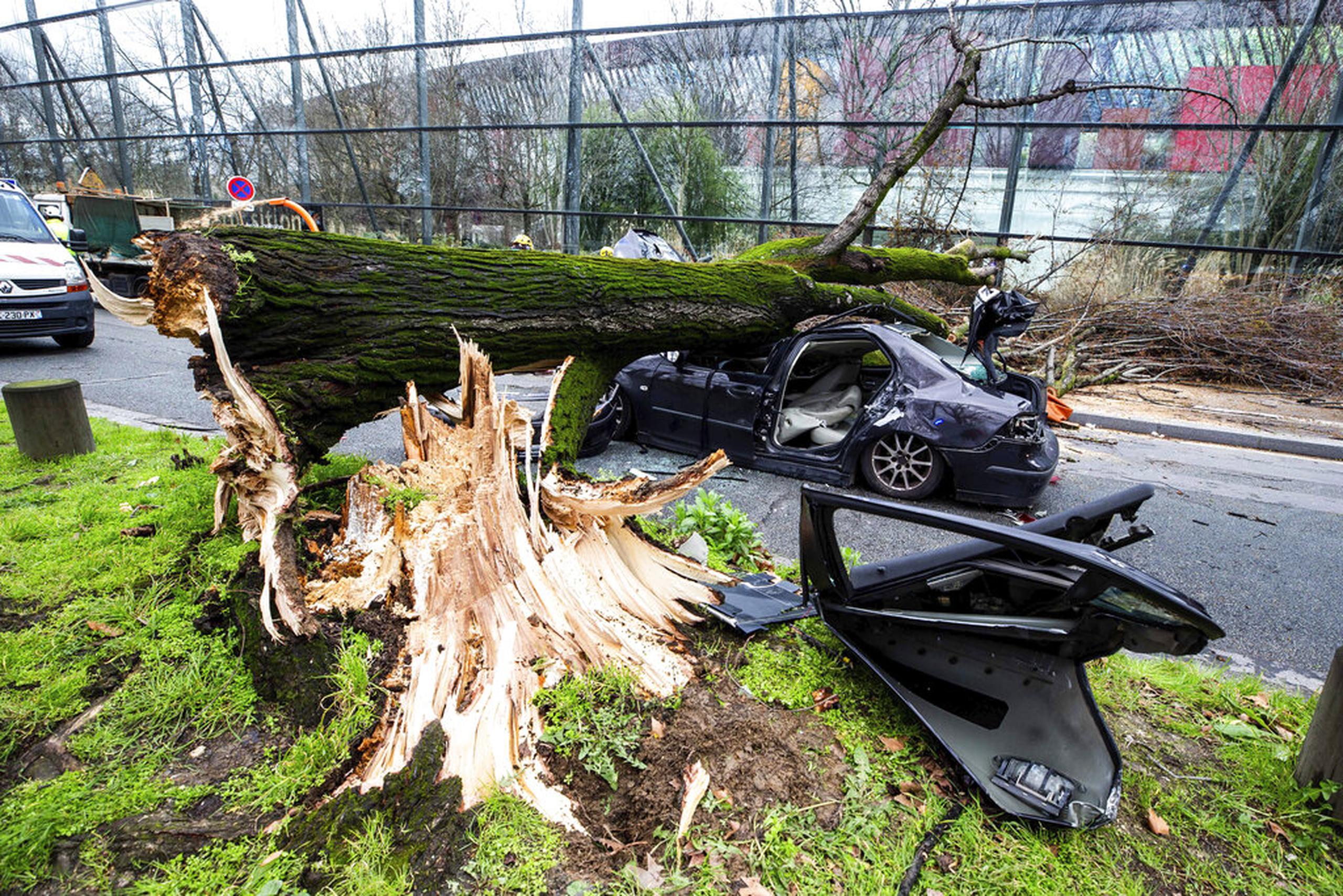 Escena en París luego que los vientos de una tormenta arrancaron un árbol y lo lanzaron contra un vehículo.