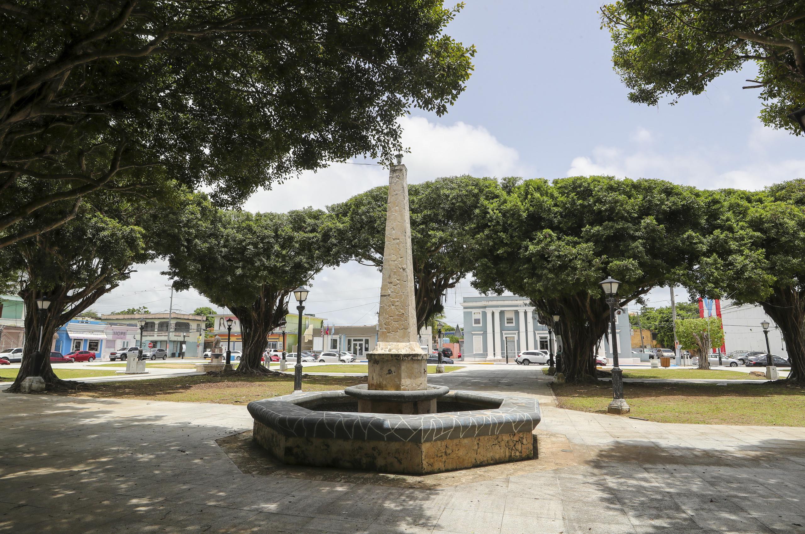 La plaza posee 16 jardines adornados con árboles de ficus que dan sombra a quienes pasean por ella.