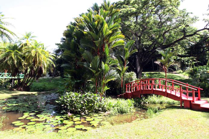 Vista del Jardín Botánico de la Universidad de Puerto Rico, en Río Piedras.