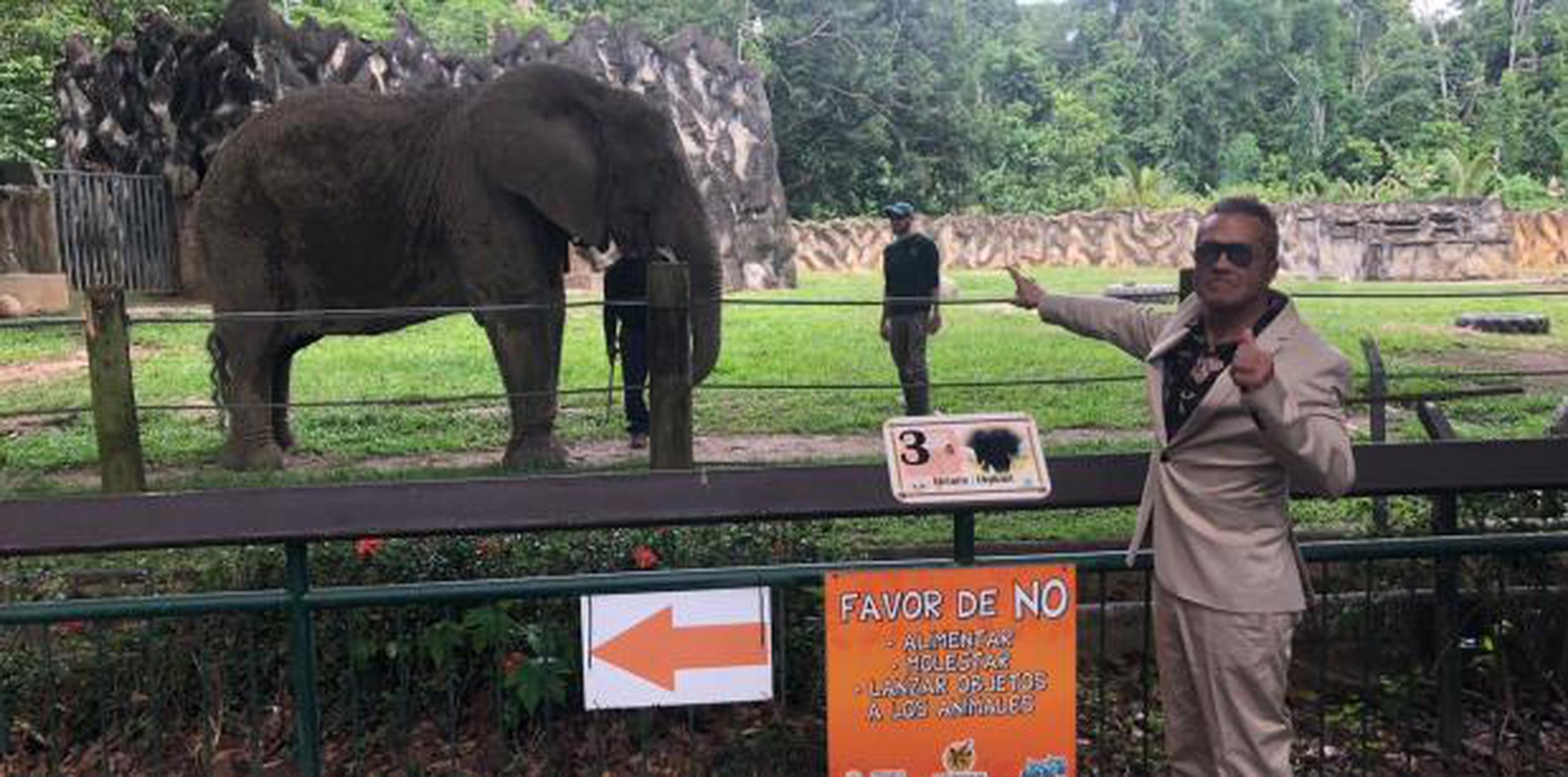 “Esta elefanta es el símbolo del zoológico, es la imagen del zoológico, los niños la adoran y está muy bien cuidada, y hay planes para mejorar cada día más el zoológico”, dijo. (Suministrada)