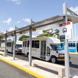 Bayamón anuncia nuevo servicio de transporte colectivo para sus zonas rurales