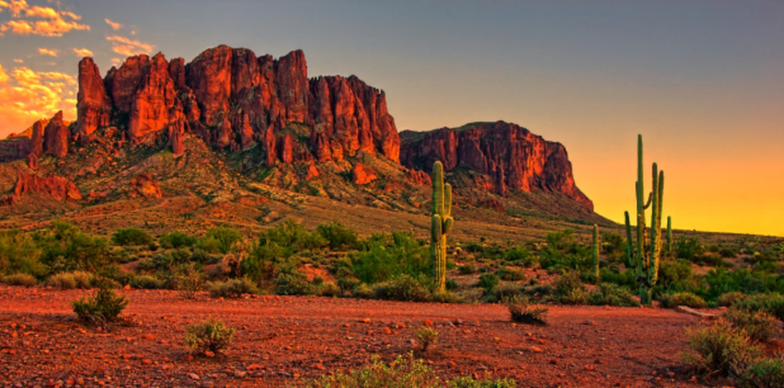 La fiebre del valle se incrementa en las zonas desérticas, y por eso está más presente en Arizona y el Valle Central de California. (Shutterstock)