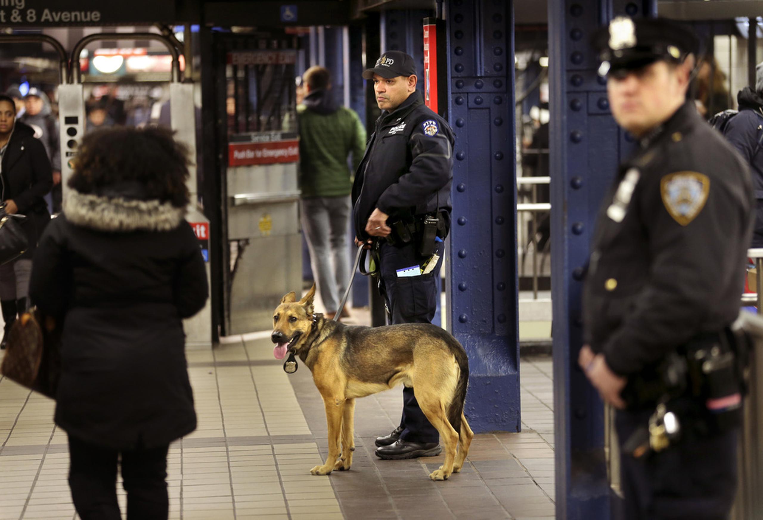 La tragedia ocurrió el mismo día en que las autoridades neoyorquinas anunciaron planes de despachar a 800 policías más al sistema de tren subterráneo para combatir la evasión de tarifas.