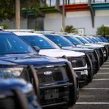 Policía Municipal de San Juan activa plan de seguridad para el Festival de la Salsa 