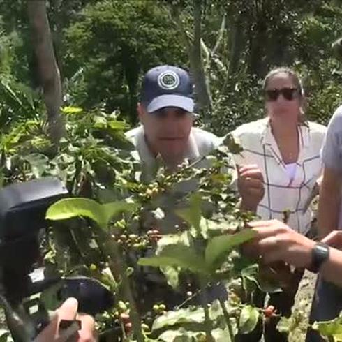 Lin Manuel convoca a los “Avengers” para la industria del café boricua