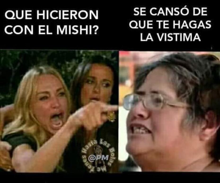 Los Memes Del Famoso Gato Primera Hora