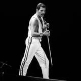 Los músicos que Freddie Mercury amaba y odiaba, expuestos en un nuevo libro 