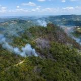 Bomberos y Guardia Nacional combaten por sexto día fuego forestal entre Maricao y San Germán