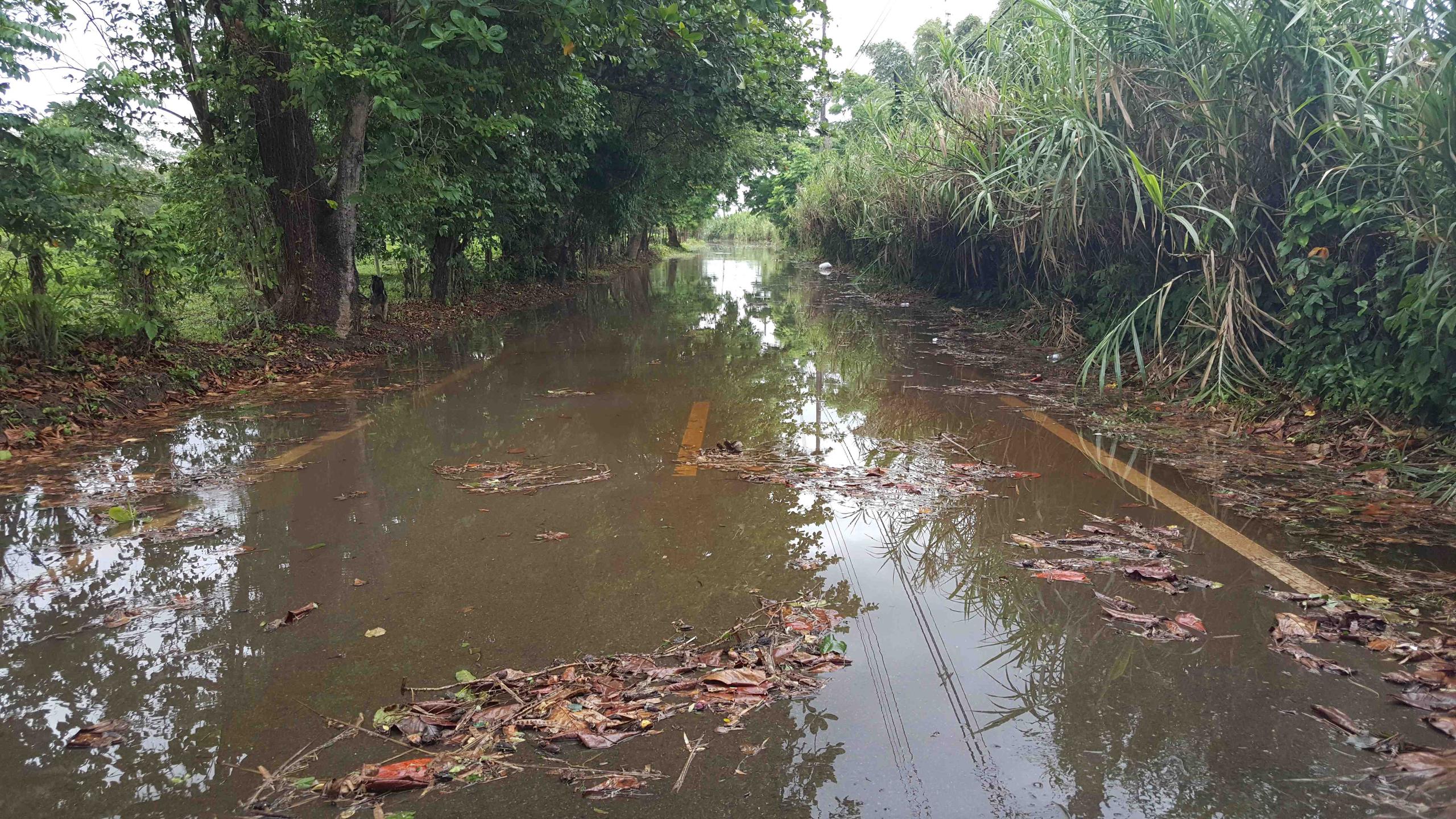 Carretera inundada en Naguabo.