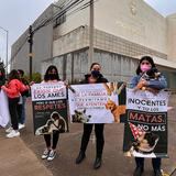 Primer juicio penal por maltrato animal hace historia en México 