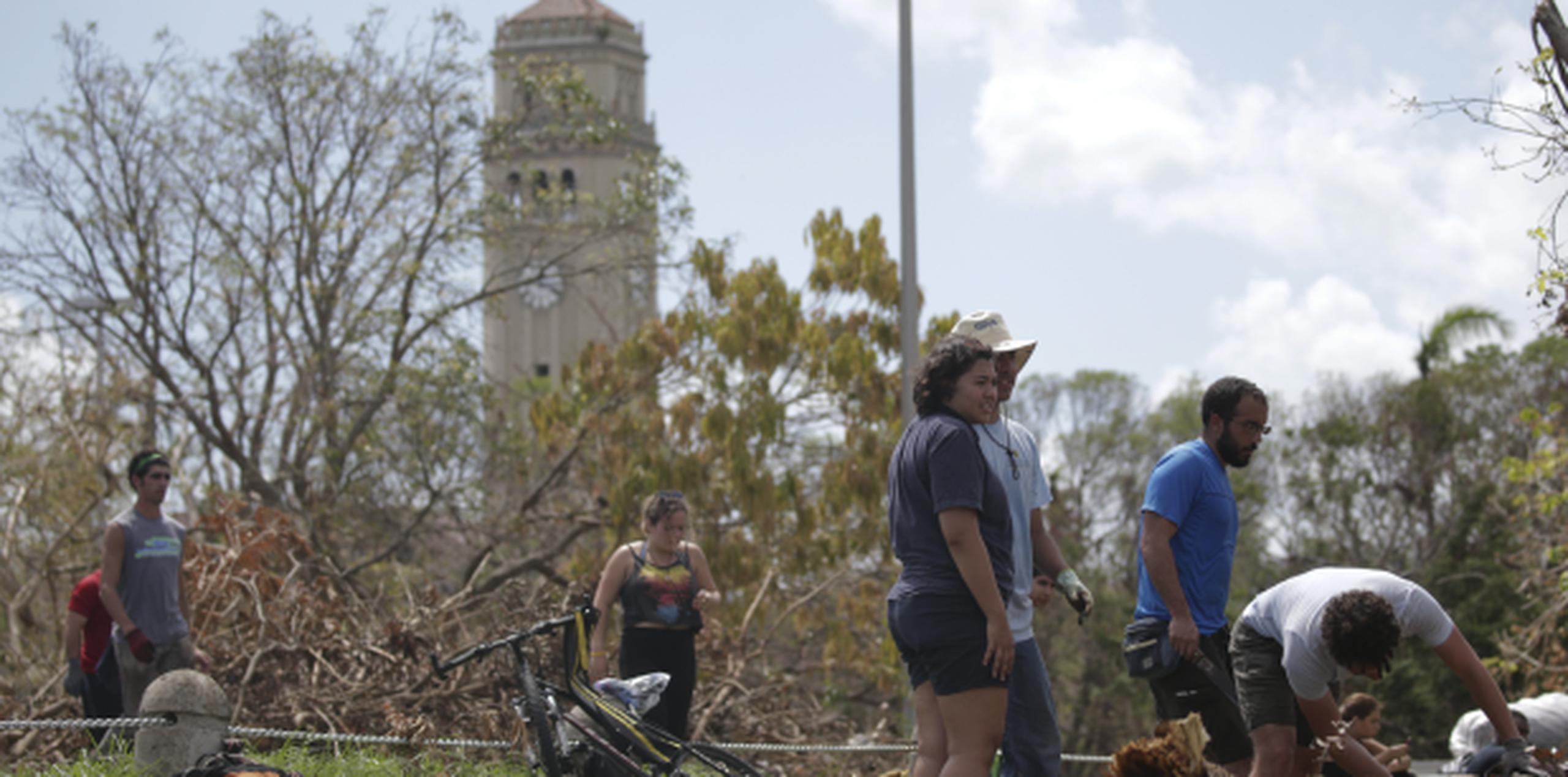Estudiantes y trabajadores de la Universidad de Puerto Rico se unieron para limpiar los recintos luego de los desastres que dejó el huracán María.
 (TERESA.CANINO@GFRMEDIA.COM)
