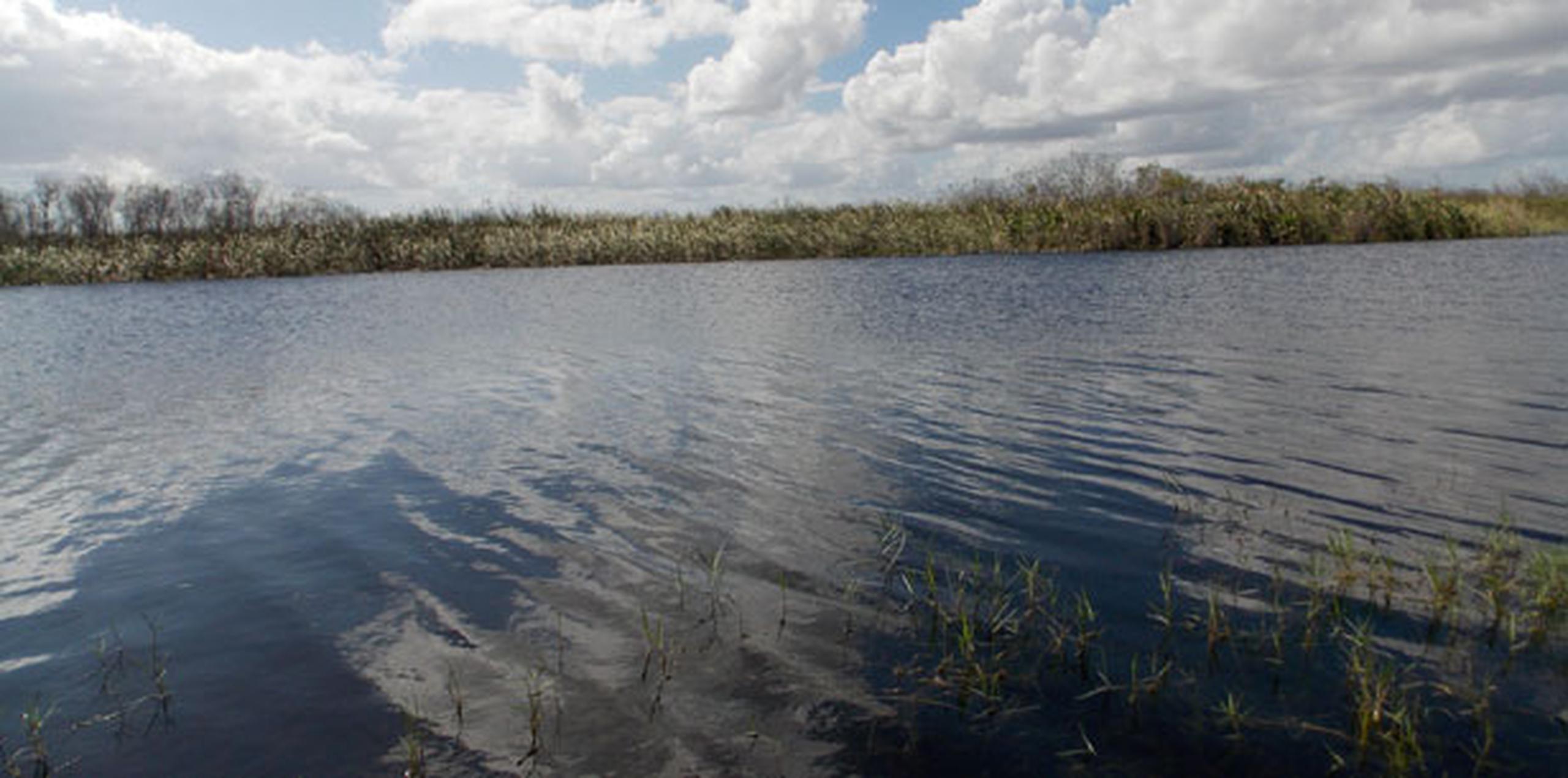 Hasta el punto que "partes costeras de los Everglades que estuvieron inundadas por el agua marina cerca de un 70 % del tiempo, ahora están cubiertas por el agua marina un 90 % del tiempo", alertó el informe. (EFE)