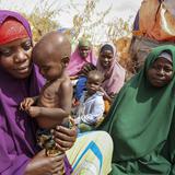 Al menos 730 niños murieron de hambre en Somalia este año y las cifras aumentarán 