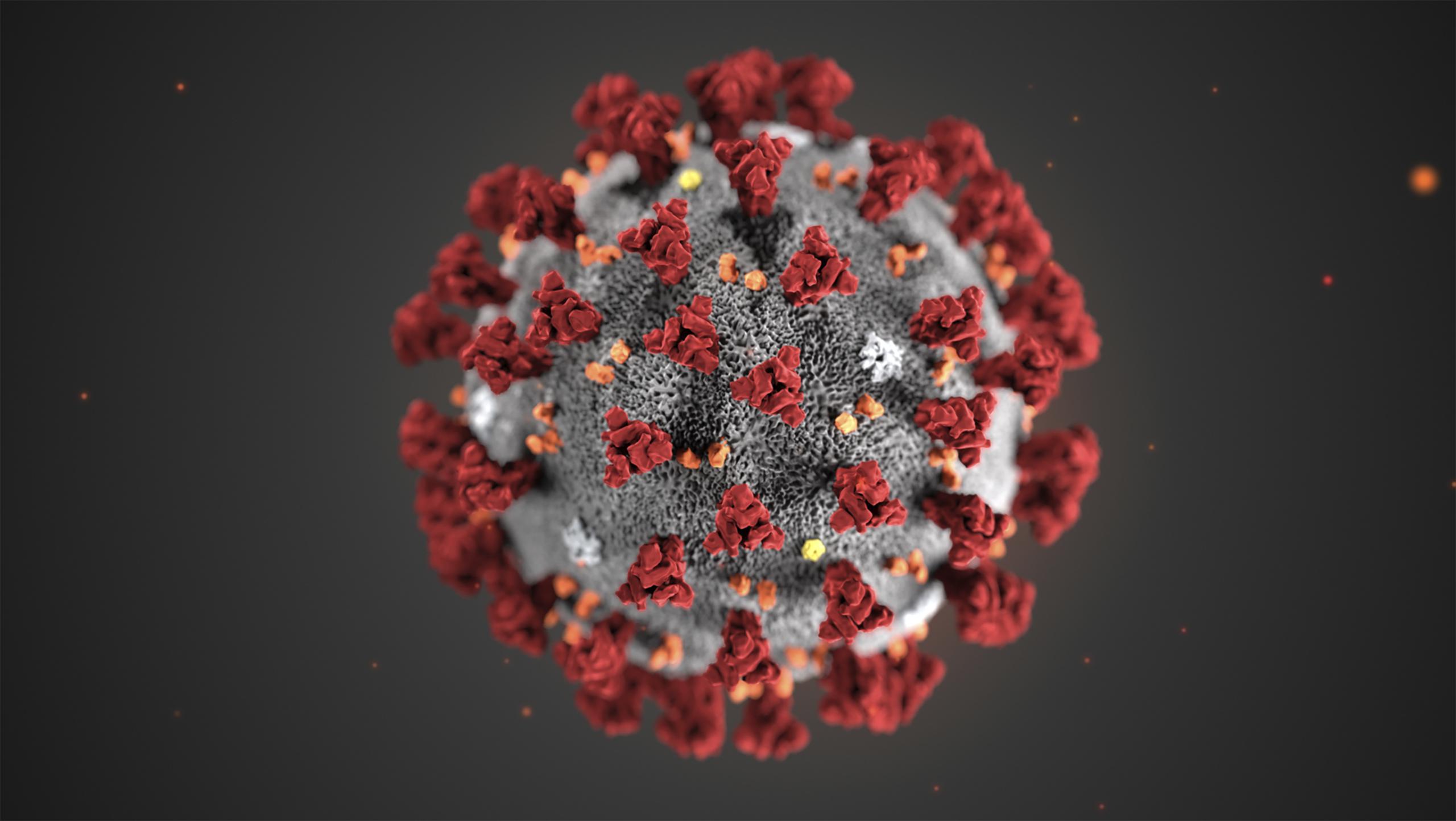 Ilustración proporcionada por los Centros para el Control y la Prevención de Enfermedades que muestra el coronavirus que causa la enfermedad COVID-19.