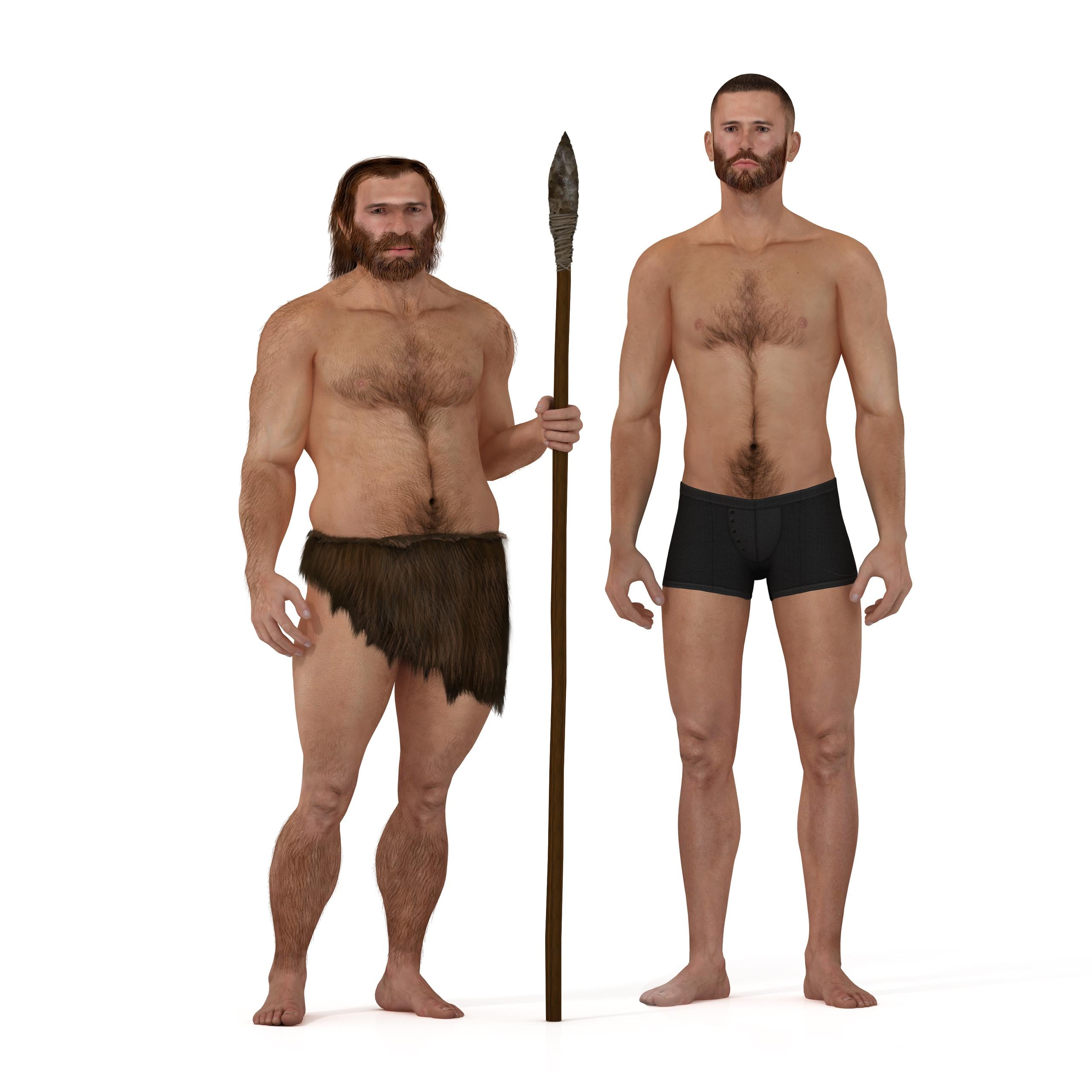 Se plantea que el Neandertal y el Homo sapiens  desarrollaron culturas juntos.
