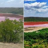 Lago creado por meteorito hace 50 mil años en India se torna rosa repentinamente