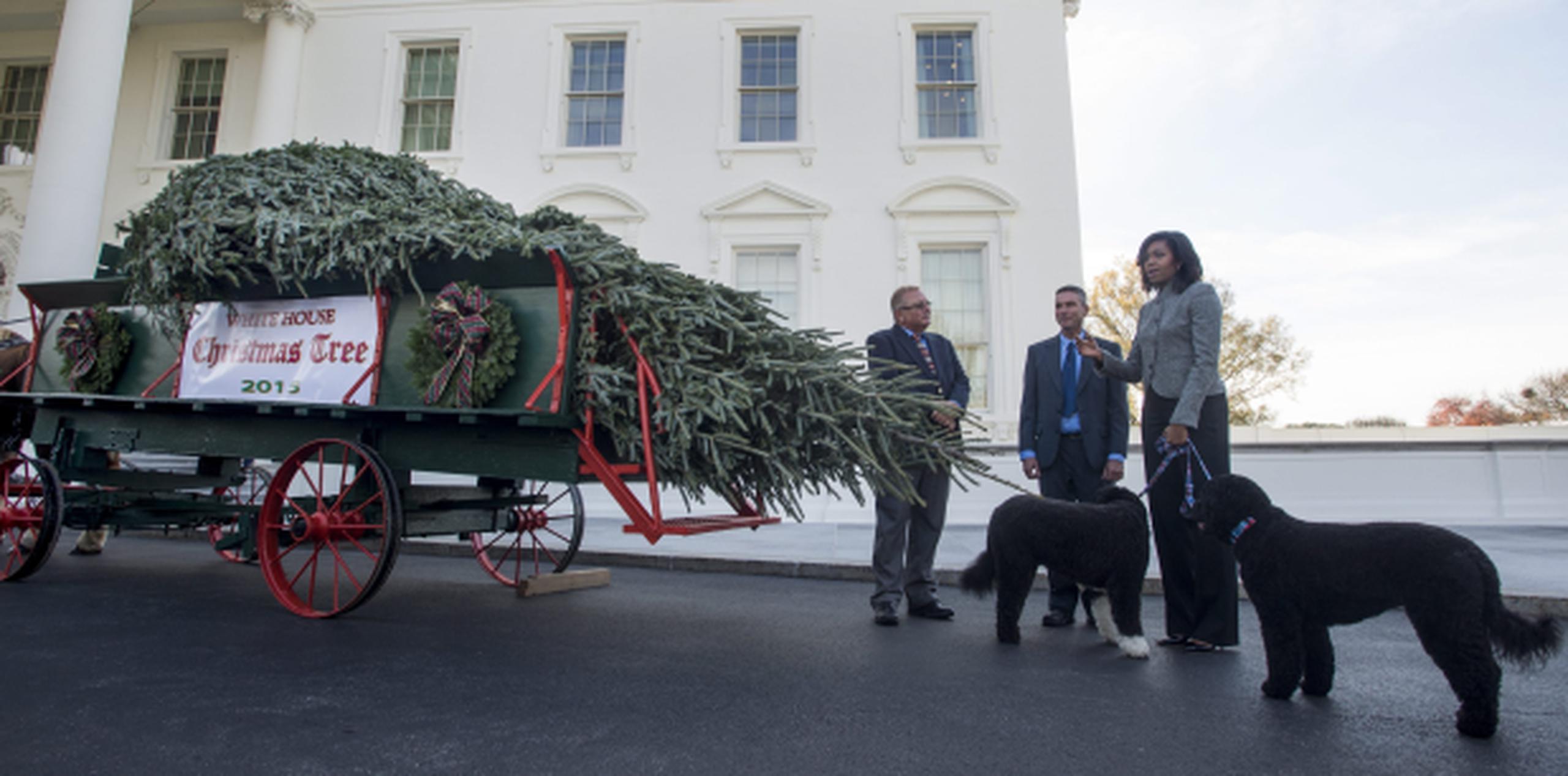 La primera dama afirmó que este año el árbol rendirá homenaje al ejército. (EFE)