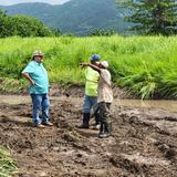Inicia limpieza de terrenos en Maunabo para promover la siembra
