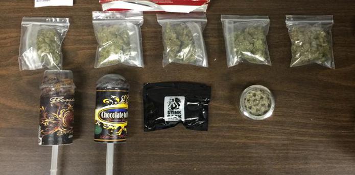 El hombre, de 25 años y residente en la Florida, permitió a los agentes que se registrara su bulto, el cual contenía siete bolsitas de marihuana, así como dos paletas y una barra con sabor a esa sustancia controlada. (Suministrada)