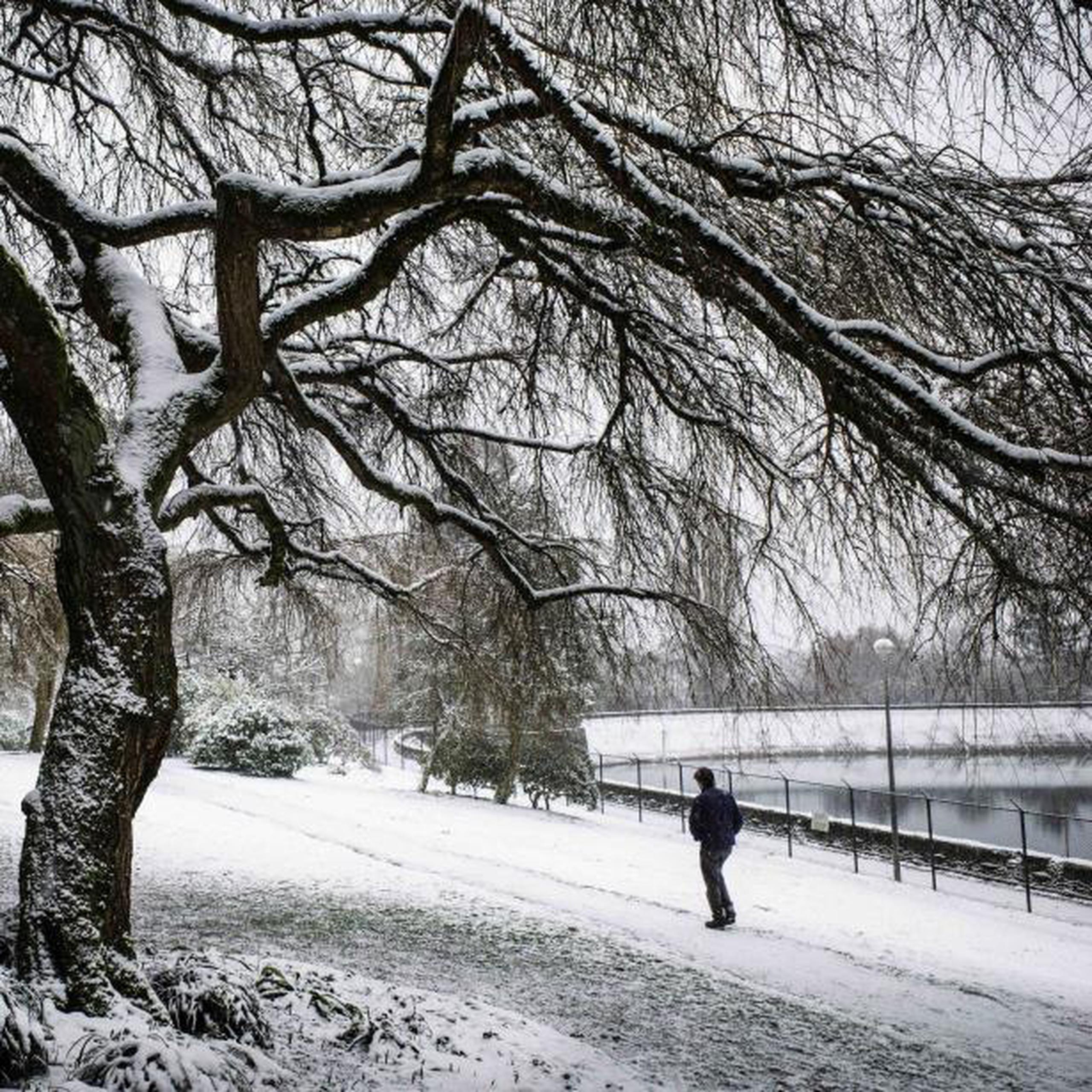 En Seattle se anunció que las escuelas públicas permanecerán cerradas debido a las nevadas. (Steve Ringman / The Seattle Times vía AP)