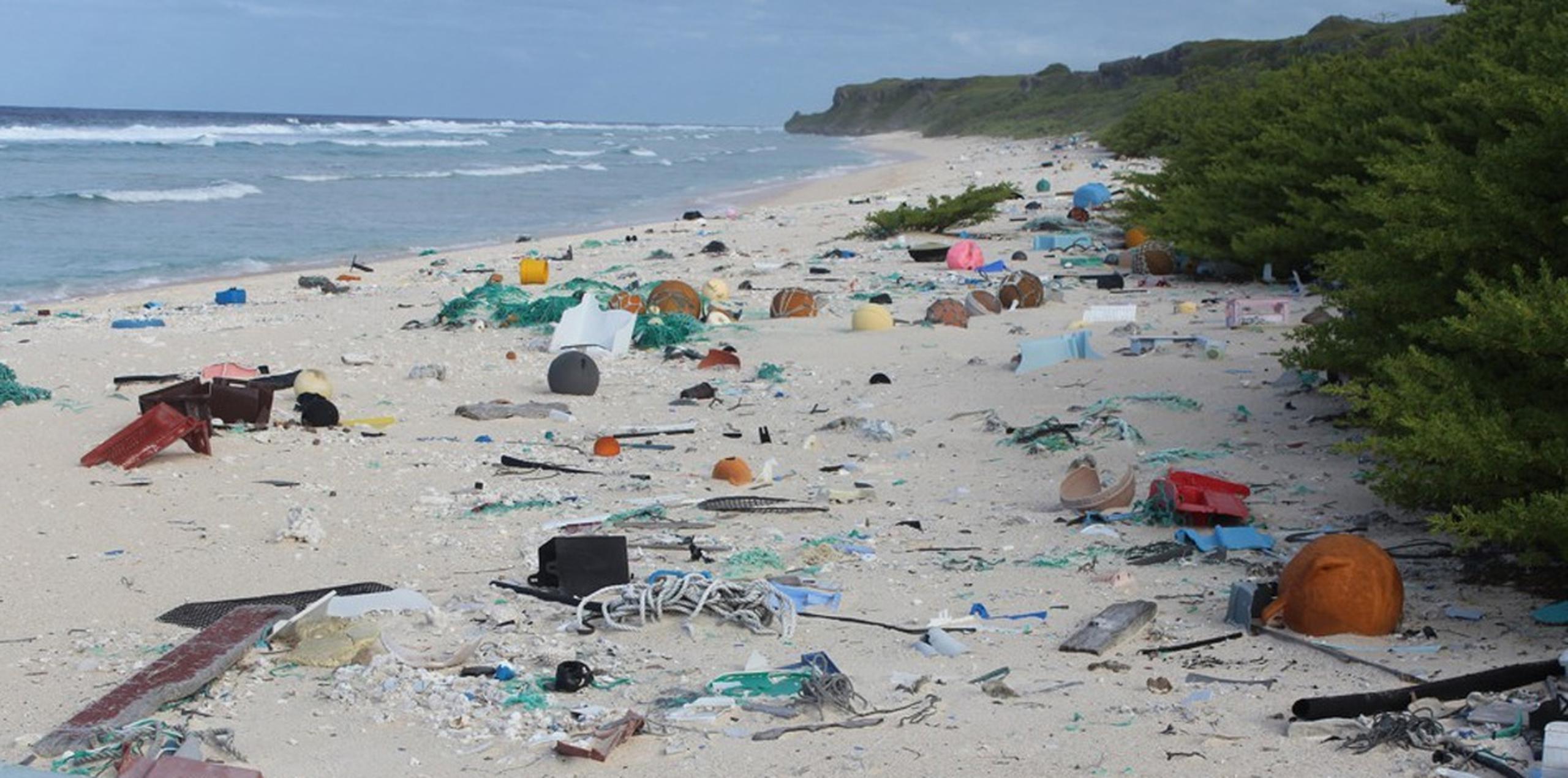 Los investigadores señalaron que esa densidad de basura es la mayor registrada en cualquier lugar del mundo, a pesar de lo remoto de la isla. (Twitter)