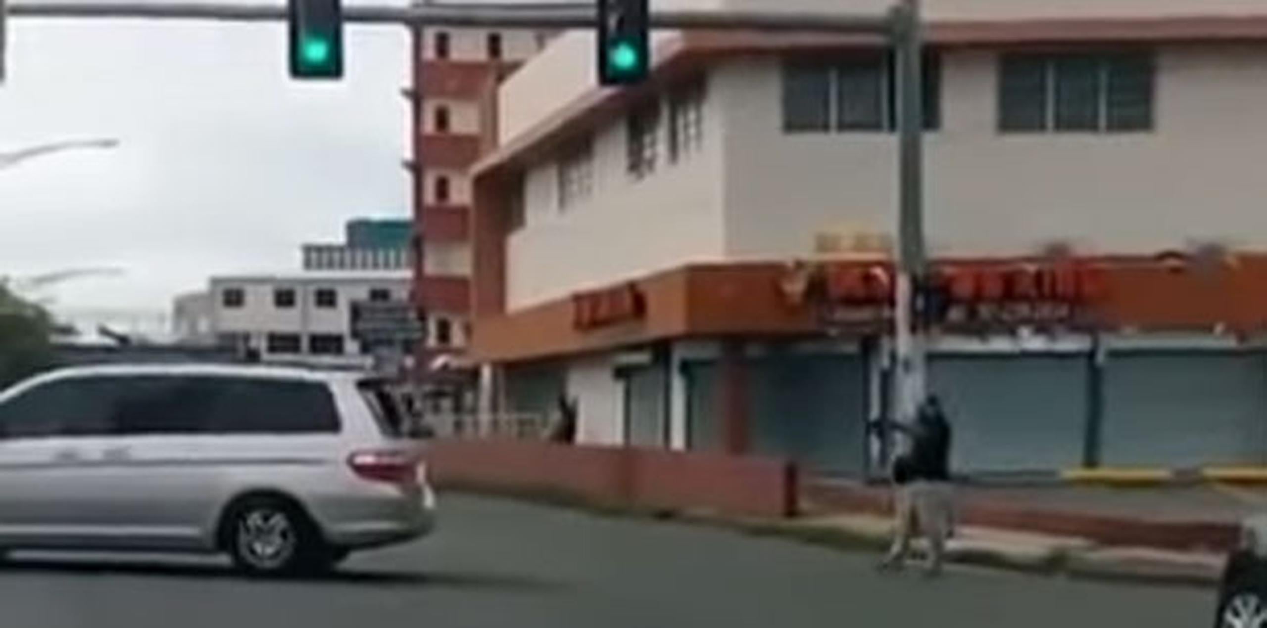 El violento ataque fue captado en vídeo por varios conductores que quedaron detenidos frente a la escena y lo difundieron por las redes sociales.   (Captura)