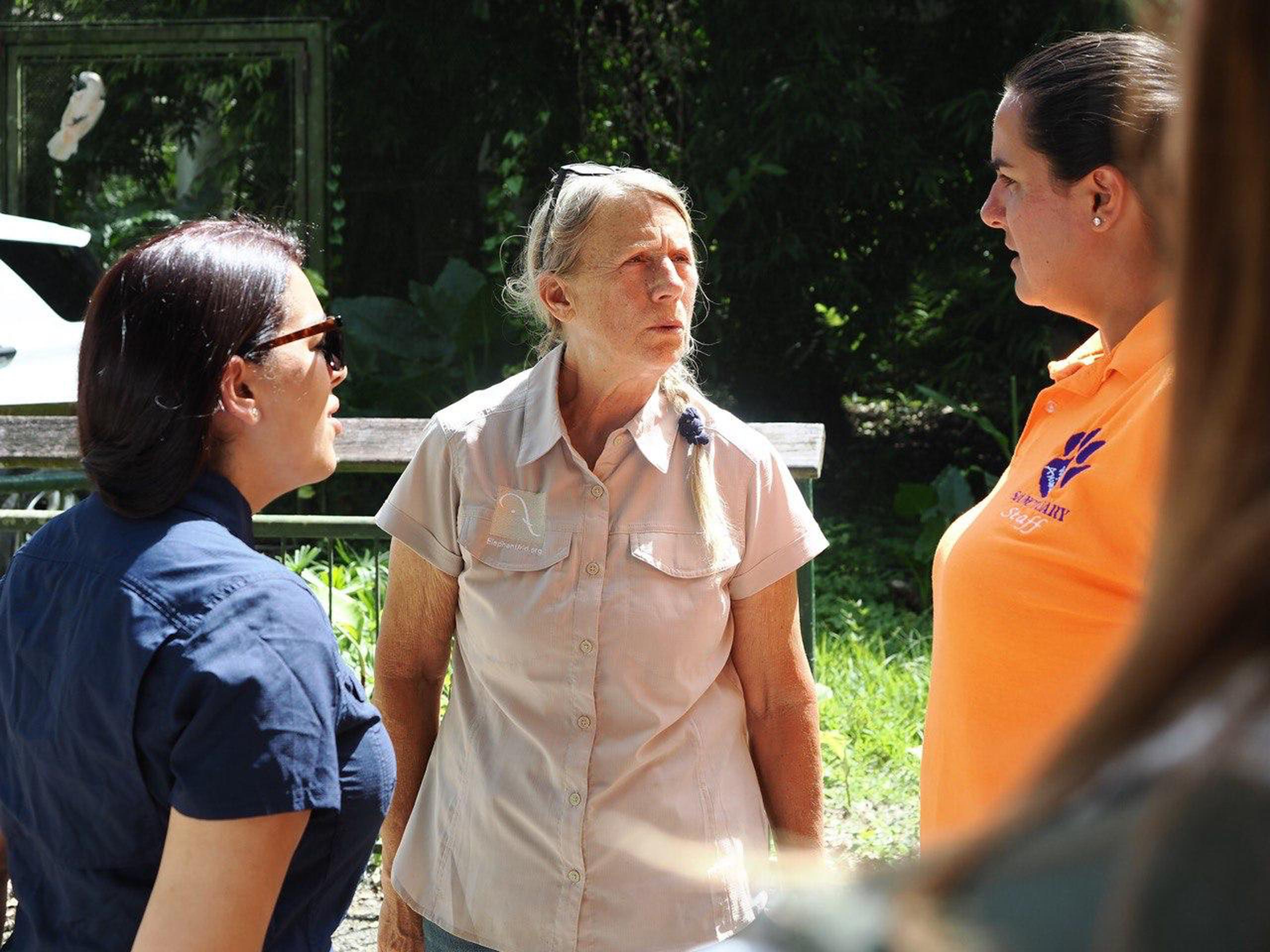 Carol Buckley visitó en varias ocasiones el Zoológico de Mayagüez para conocer las condiciones en que se encontraba Mundi.